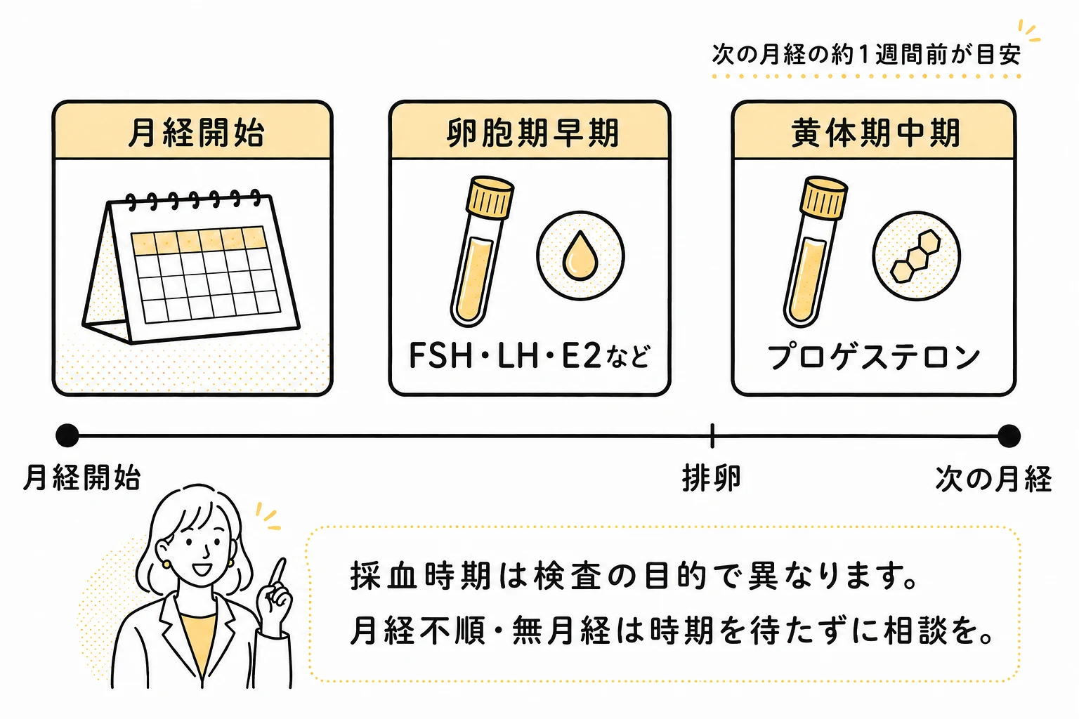 卵胞期早期と黄体期中期に調べるホルモンの例と、採血時期を医師に相談する案内